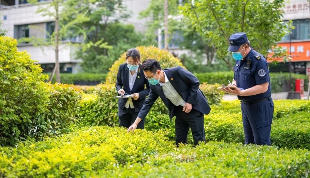 鲁商服务：抓标准，强赋能，优化提升服务品质