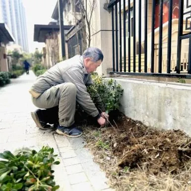 金鹏祥和物业：全态全链拓边界，党建引领聚合力，共享城市新生活