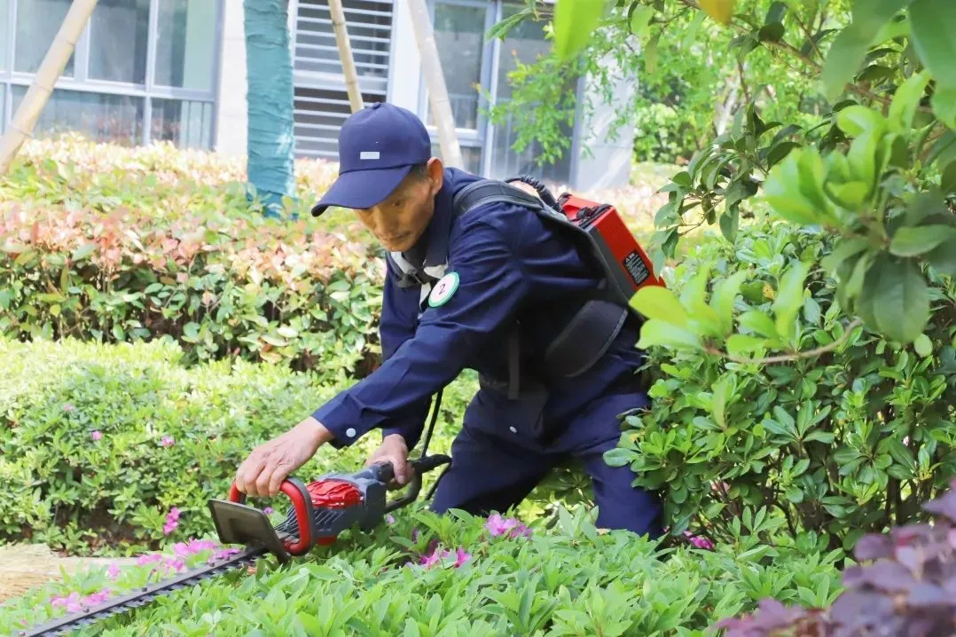 大家风采 | 大家服务稳步提升，多维度构筑品质服务新高度