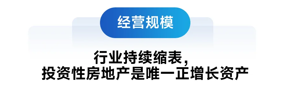 2024中国房地产上市公司TOP10研究报告